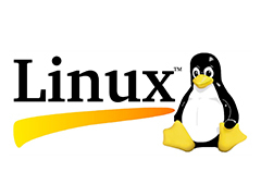 Linux 5.19 已添加英特尔 13 代酷睿 Raptor Lake-P 图形驱动支持