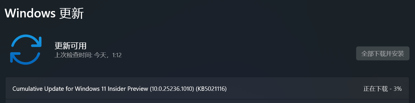 微软推送 Win11 Dev 25236.1010 小型服务更新（KB5021116）