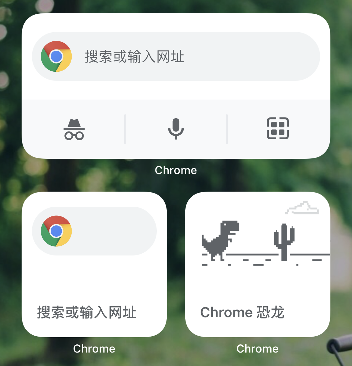 谷歌 Chrome 90 浏览器 iOS 版发布：新增搜索和恐龙游戏小组件，支持修改已保存的用户名和密码